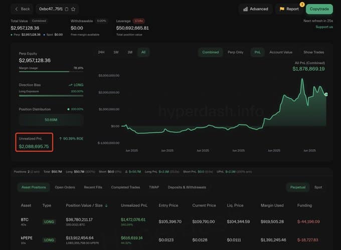 PEPE：分析詹姆斯·温恩1390万美元的押注能否推高价格
